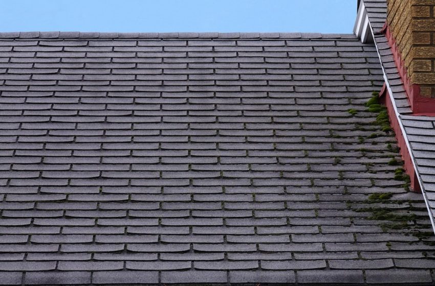 Is it the Time to Replace Your Roof?