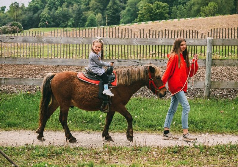Tips for making animal riding safely