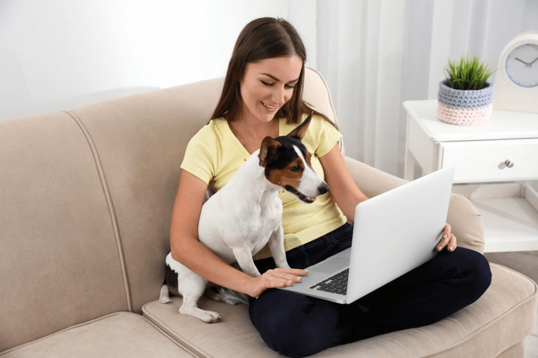 Contact and Book a Veterinarian for your pet Online in just a few Clicks