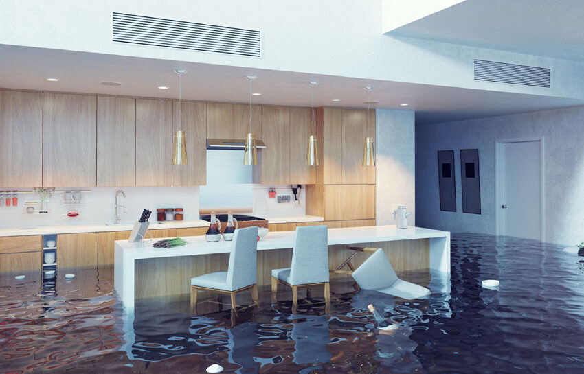  The Reasons for Getting Help from a Professional Water Damage Company