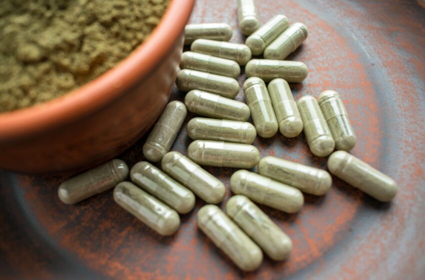  Trying to Find Out the Good Effects and Possible Impacts of Kratom Supplement 
