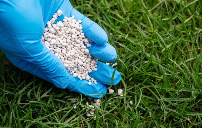 Boosts Lawn Health in Spring